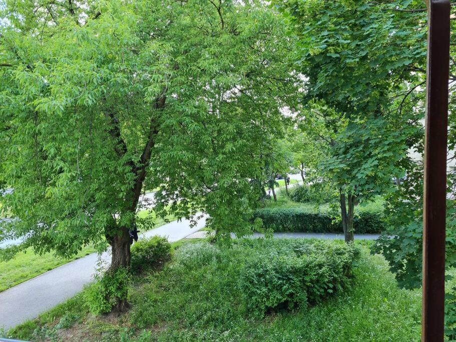 Apartament Kraszewskiego - Retro, Blisko Starowki, Kolo Parku, Ogrod Dla Gosci, Rowery Free Thorn Exterior foto