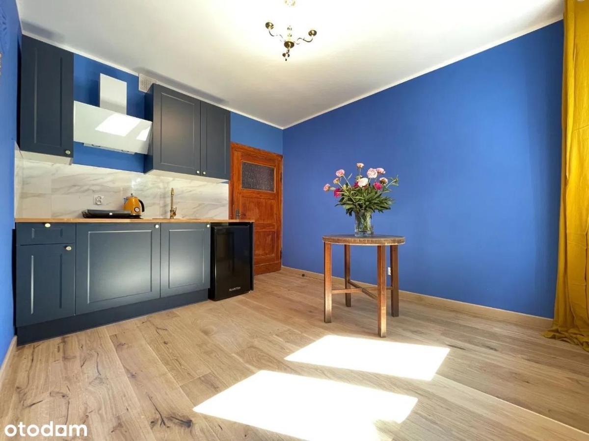 Apartament Kraszewskiego - Retro, Blisko Starowki, Kolo Parku, Ogrod Dla Gosci, Rowery Free Thorn Exterior foto